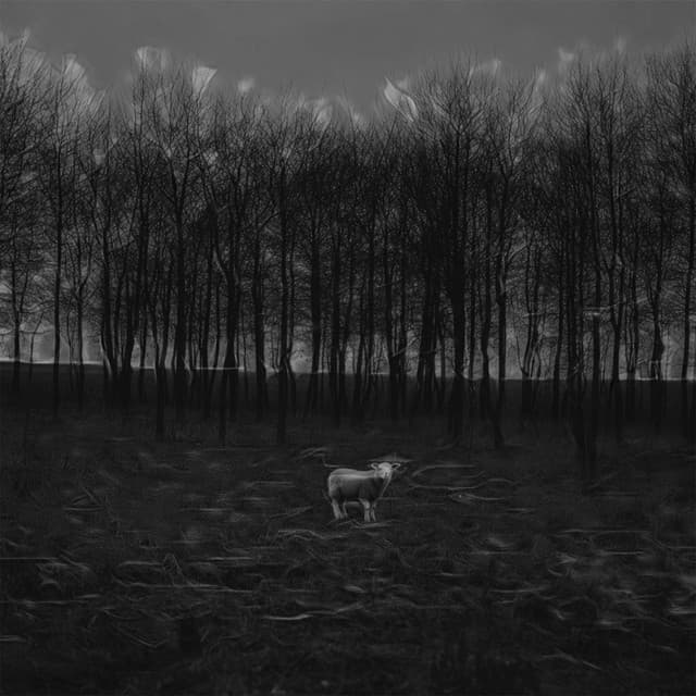 Lament To The Odds